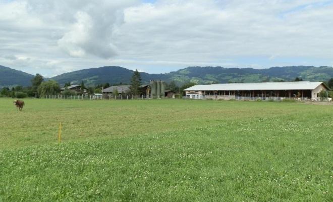Steigmatt Bauernhof- Erlebnis Villa Montlingen Buitenkant foto